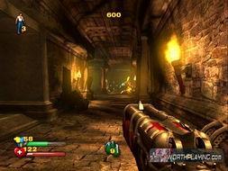 萨姆图片爆料视频,一窥明星幕后生活