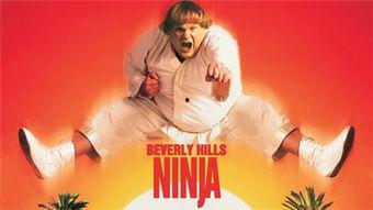 比佛利武士在线观看,在线观看,领略加州海岸的传奇风采 第3张 比佛利武士在线观看,在线观看,领略加州海岸的传奇风采 第3张